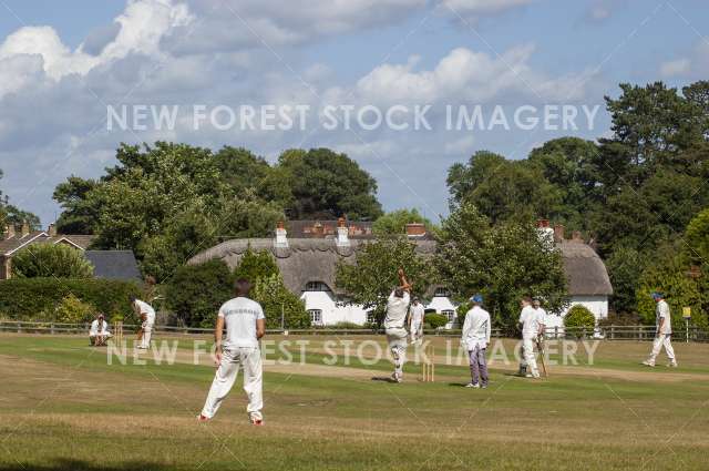 Swan Green Cricket 01