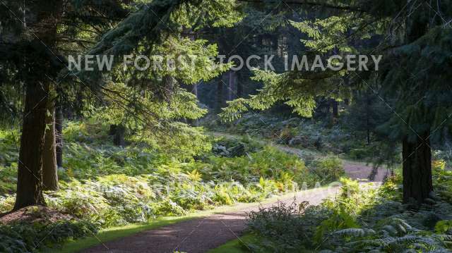 Alderhill Inclosure 03