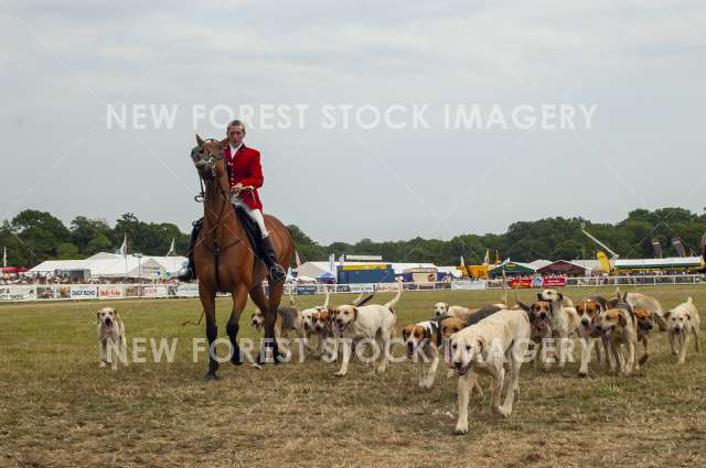 New Forest Show 06