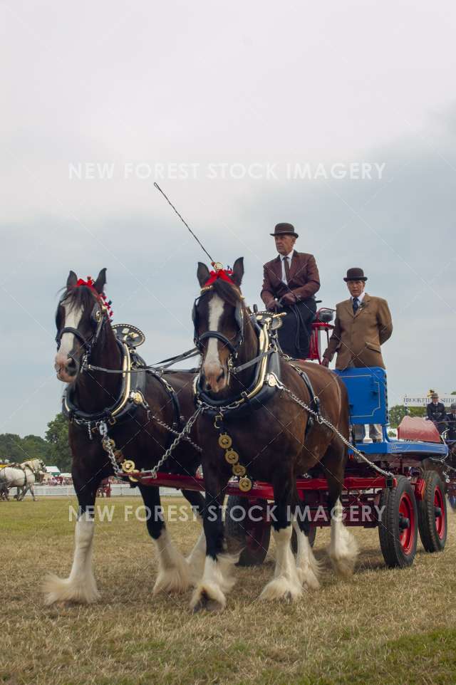 New Forest Show 07