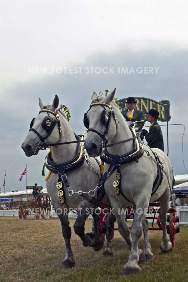 New Forest Show 01