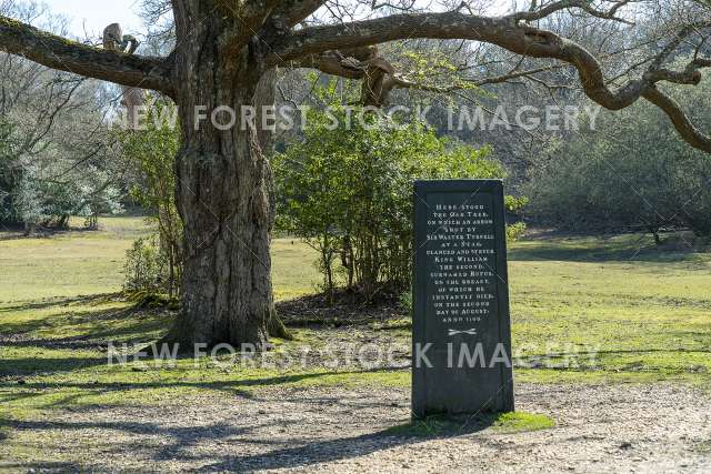 Rufus Stone 02