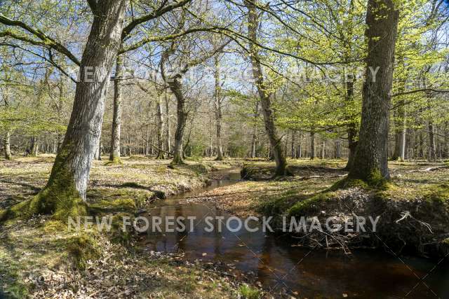 Blackensford Stream 03