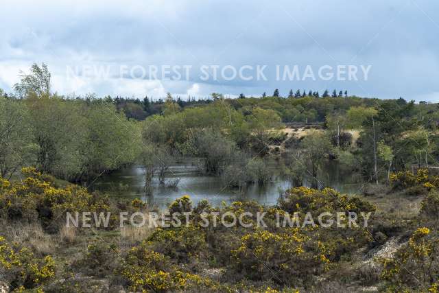 Holmsley Gravel Pit 01