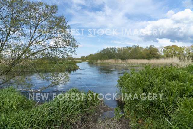 River Avon 01