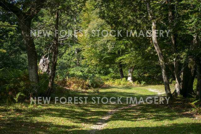 Bratley Inclosure 03
