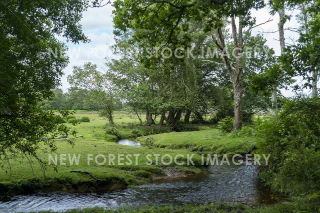 Beaulieu River 06