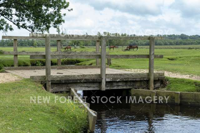 Longwater Bridge 01