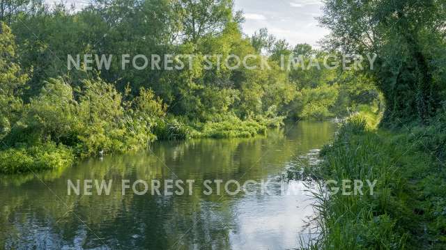 River Avon 04