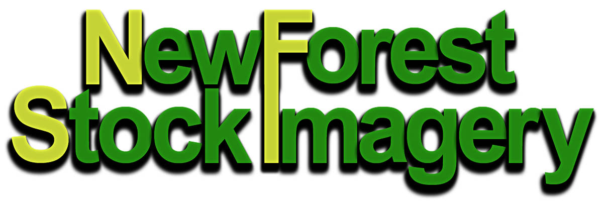 New-Forest-Stock-Imagery-Logo