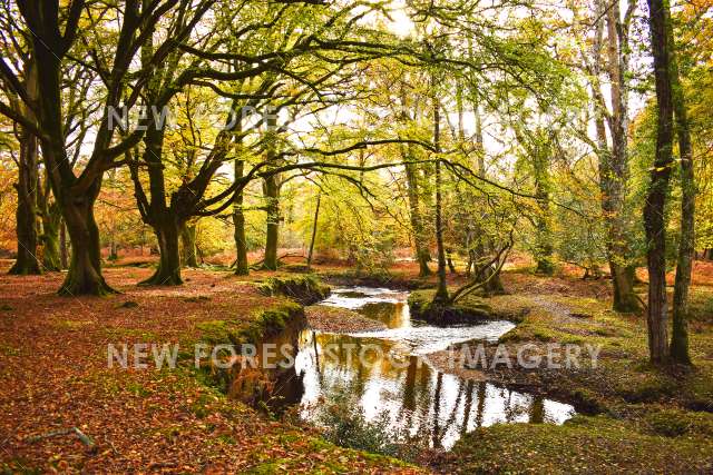 River in Autumn 02