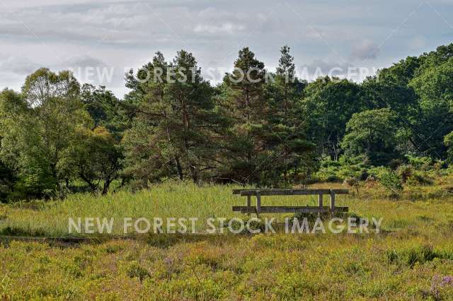 Backley Bottom 03