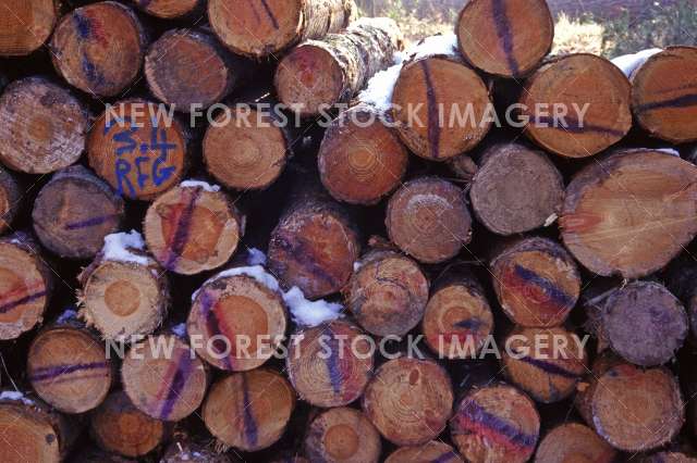 Timber Production 17