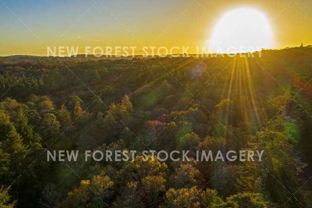 Autumn Canopy Sunset 01