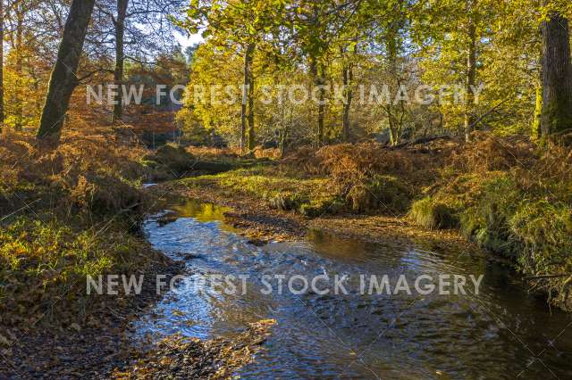 Autumn Black Water 01