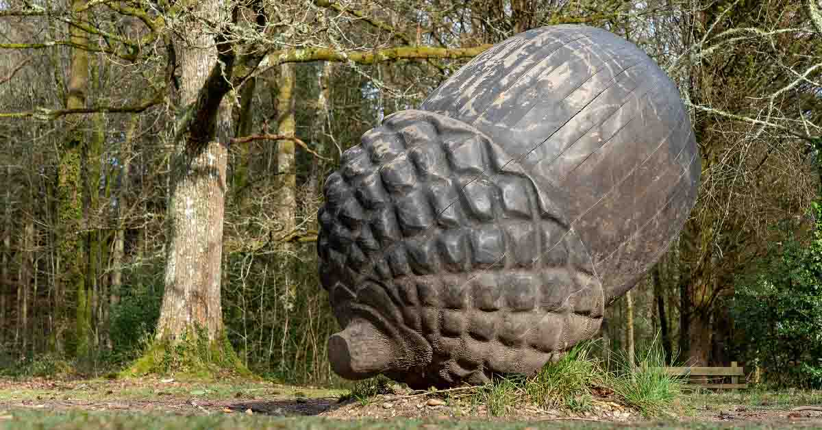 New-Forest-Giant-Acorn